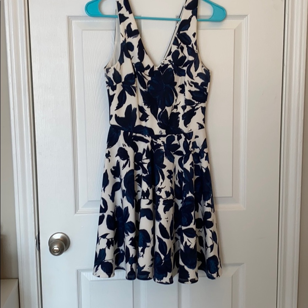 Francesca’s Blue and White Floral A-Line Dress